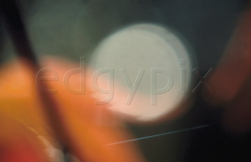 Comp image : al0309 