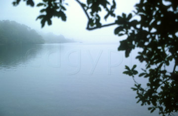 Comp image : ld01819 : Misty view of the lake through oak leaves at the edge of Wastwater, in the English Lake District