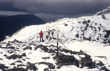 Comp image : ld02014 : In the English Lake District, walkers head NW past fenceposts towards Red Pike in snow under a heavy sky