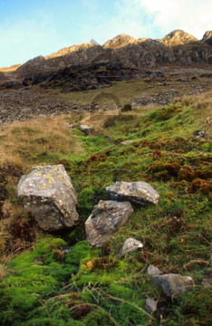 Comp image : ld03110 : The setting sun catches to top of Maiden Moor, on the Cat Bells ridge in the English Lake District, with moss and rocks in the foreground