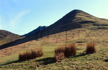 Comp image : ld03409 : Looking up at Barrow in spring sunshine, dividing the Coledale and Newlands valleys in the English Lake District, with grass tufts in the foreground