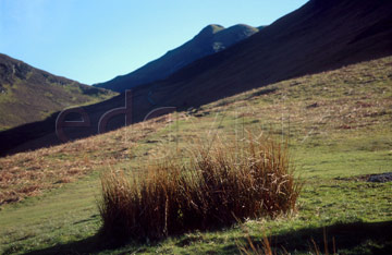 Comp image : ld03410 : Looking up at Causey Pike from the slope of Barrow, dividing Coledale and Newlands valleys in the English Lake District, with grass tufts in the foreground