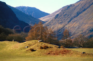 Comp image : ld05006 : Strong spring sunshine on a group of trees in Borrowdale, in the English Lake District, with the bulk of Great Gable in the distance