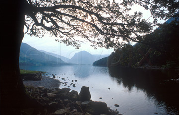 Comp image : ld05405 : Looking into morning sun through the branches of a tree, and a reflection of the fells in the still surface of Buttermere lake, in the English Lake District