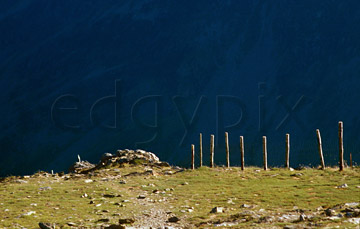 Comp image : ld05718 : Fenceposts along Littledale Edge (between Robinson and Hindscarth) in the English Lake District, with the rockface of Fleetwith Pike in shadow in the background.