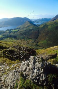 Comp image : ld05809 : View from Buttermere Moss to Crummock Water, in the English Lake District, in strong autumn sunshine