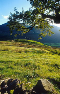 Comp image : ld05818 : View over a stone wall and field into late afternoon autumn sun over Buttermere, in the English Lake District