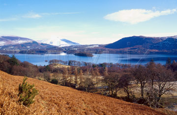 Comp image : ldm0423 : Looking over golden bracken in spring sunshine towards Derwentwater and Walla Crag, in the English Lake District, with Blencathra under snow in the distance.