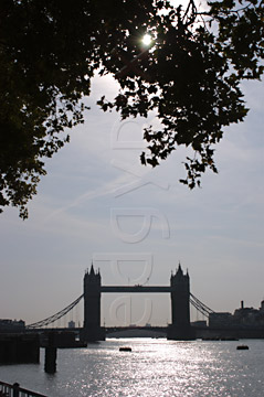 Comp image : lond010015 : Distant view of London's Tower Bridge, against the light, from the north bank of the River Thames, with overhanging trees
