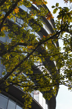 Comp image : lond010039 : Dramatic shapes of City Hall, London, against the sky, with branches of a tree in the foreground. Building designed by Foster and Partners, and home to the GLA.