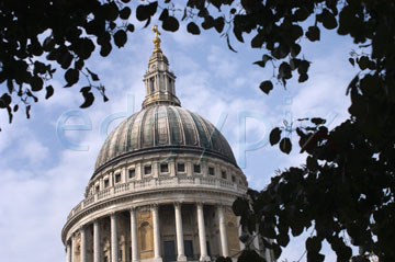 Comp image : lond010131 : Looking up at the sunlit dome of St. Pauls Cathedral in London, England, through the silhouette of trees in the foreground