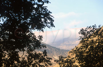 Comp image : mgun0508 : View through silhouetted trees to a misty valley in early morning sunshine in the High Atlas mountains in Morocco