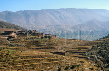 Comp image : mgun0522 : Terraced hillside above Abachkou in the High Atlas mountains of Morocco