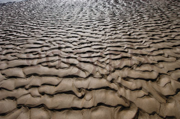 Comp image : shor022739 : Strongly defined ripples in the sand, seen against the light, on a deserted beach at low tide on the flat North Norfolk coast of England