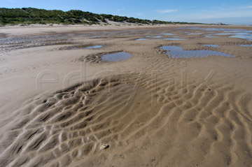 Comp image : shor022743 : Ripples in wet sand in sunshine, on a deserted beach at low tide on the flat North Norfolk coast of England