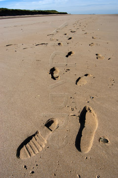 Comp image : shor022758 : Footprints in the sand on a flat deserted beach at low tide on the North Norfolk coast of England, in strong sunshine