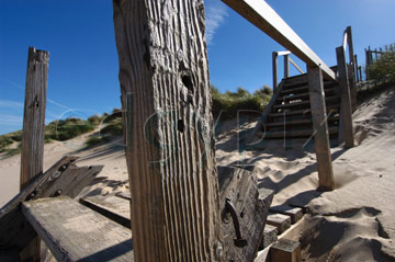 Comp image : shor022784 : Part of an old wooden structure on the sand dunes on the North Norfolk coast of England, under a blue sky