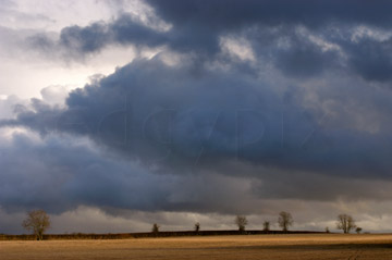 Comp image : sky020827 : Heavy billowing storm clouds over a stubble field, with a few bare trees on the skyline