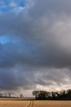 Comp image : sky020829 : Dark storm clouds clearing to show a blue sky over a distant copse of trees and a field of stubble