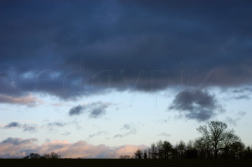 Comp image : sky020843 : A heavy band of dark cloud against a light evening sky, with a copse of trees in silhouette on the skyline