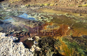 Comp image : torf0424 : Colourful sulphur pool, near Laufafell, Iceland