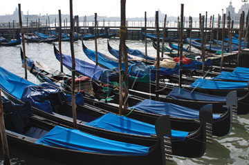 Comp image : ven021371 : Gondolas with blue covers moored near the Piazzetta San Marco in Venice, Italy