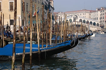 Comp image : ven021554 : Gondolas moored in sunshine on the Grand Canal [Canal Grande] in Venice, Italy, with the Rialto Bridge in the background