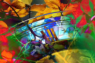 Comp image : xmastime : A digital montage of coloured autumn leaves and a clock face suggesting Christmas and the change of the year