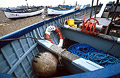 Ropes and tackle in a blue painted fishing boat on the shore at Aldeburgh, Suffolk, England Ropes and tackle in a blue painted fishing boat on the shore at Aldeburgh, Suffolk, England