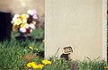 Part of a blank headstone among flowers in a sunny churchyard