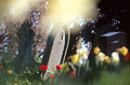 Impressionist view of a few red tulips and a headstone in an English churchyard in spring sunshine, with out of focus flower shapes