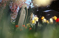 Impressionist view of a few red tulips and a headstone in an English churchyard in spring sunshine, with out of focus flower shapes