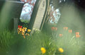 Impressionist view of red tulips and a headstone in an English churchyard in spring sunshine, with out of focus flower shapes