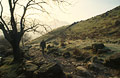 A walker starting the climb up to Stickle Tarn from Great Langdale, in the English Lake District, in misty winter sun