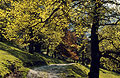 Spring sunlight shines through the trees over a path in Patterdale, in the English Lake District