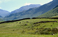 Looking from Eskdale across summer meadows towards Bow Fell in the English Lake District