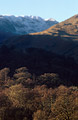 Looking across trees in Patterdale valley to Deepdale and snow-covered Rydal Head, in the English Lake District