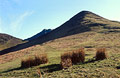 Looking up at Barrow in spring sunshine, dividing the Coledale and Newlands valleys in the English Lake District, with grass tufts in the foreground