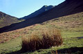 Looking up at Causey Pike from the slope of Barrow, dividing Coledale and Newlands valleys in the English Lake District, with grass tufts in the foreground