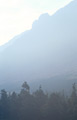 The unmistakable profile of Pillar, in the English Lake District, seen through the autumn mist from the Ennerdale forest