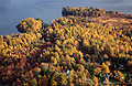 Woodland on the shore of Derwentwater, from the Cat Bells ridge, in the English Lake District