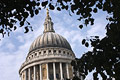 Looking up at the sunlit dome of St. Pauls Cathedral in London, England, through the silhouette of trees in the foreground