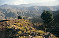 Looking across a valley in the High Atlas mountains in Morocco, in evening sunshine, with a lone tree in the foreground