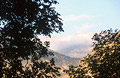 View through silhouetted trees to a misty valley in early morning sunshine in the High Atlas mountains in Morocco