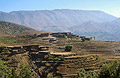 Terraced hillside above Abachkou in the High Atlas mountains of Morocco