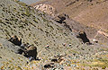 Looking down on the tiny figures of a trekking group and a mule train making their way along a track across the arid landscape in the Moroccan High Atlas mountains