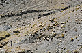 Shepherd with sheep spread out in the arid landscape of the High Atlas mountains of Morocco