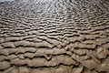 Strongly defined ripples in the sand, seen against the light, on a deserted beach at low tide on the flat North Norfolk coast of England