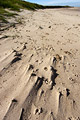 Wind blown shapes in sand dunes on a deserted English coast