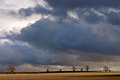 Heavy billowing storm clouds over a stubble field, with a few bare trees on the skyline